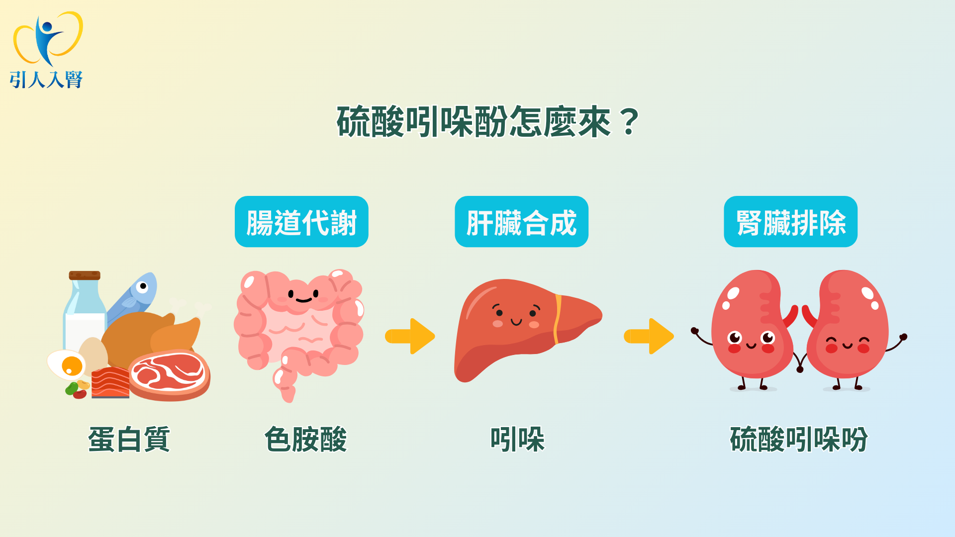 硫酸吲哚酚怎麼來