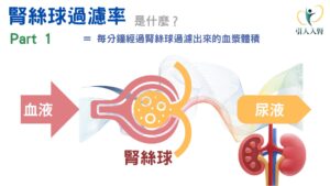 腎絲球過濾率是什麼