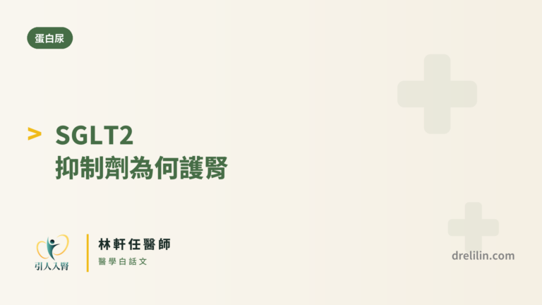SGLT2 抑制劑 封面圖,引人入腎林軒任醫師