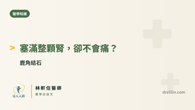 鹿角結石 封面圖，引人入腎林軒任醫師