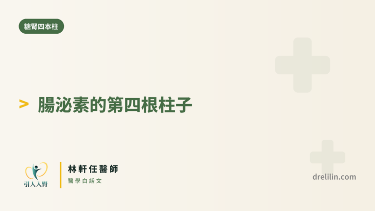 一針多效的腸泌素,怎麼變成第四根柱子?|引人入腎 林軒任醫師