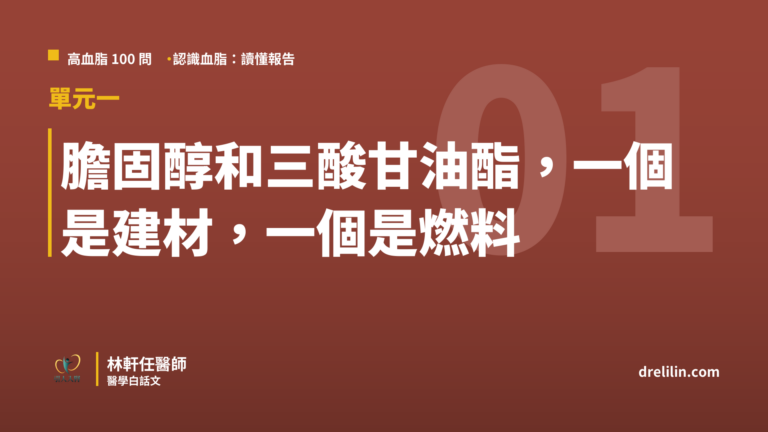 膽固醇和三酸甘油酯差在哪 建材與燃料 血脂報告 林軒任醫師