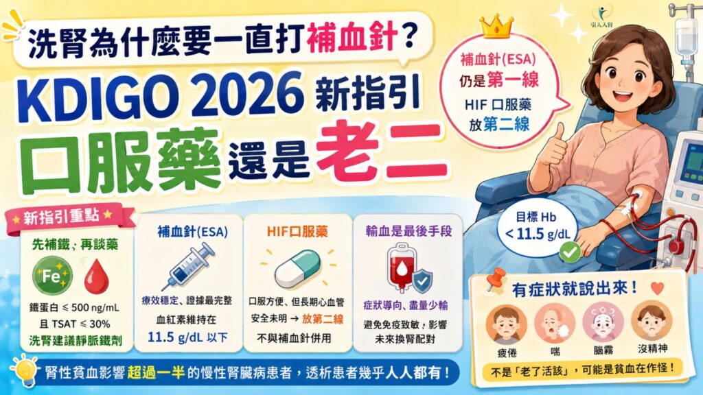 洗腎為什麼要一直打補血針?KDIGO 2026 新指引:口服藥還是老二 懶人包