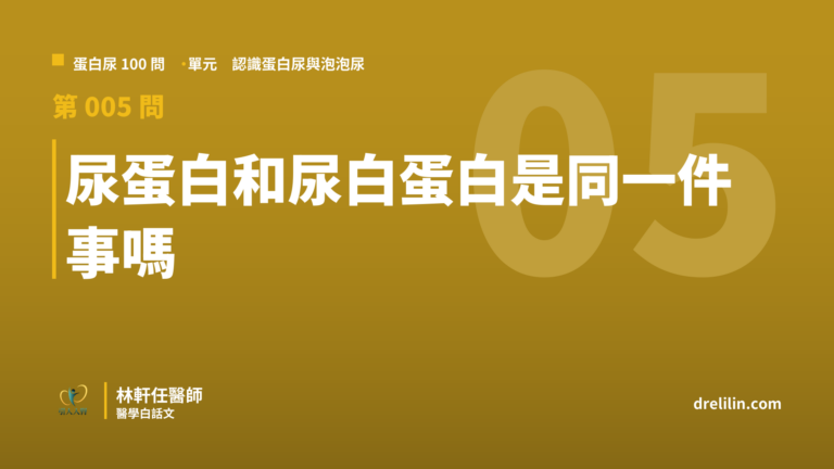 尿蛋白和尿白蛋白是同一件事嗎?白蛋白正常不代表總蛋白正常|蛋白尿100問 第005問|林軒任醫師