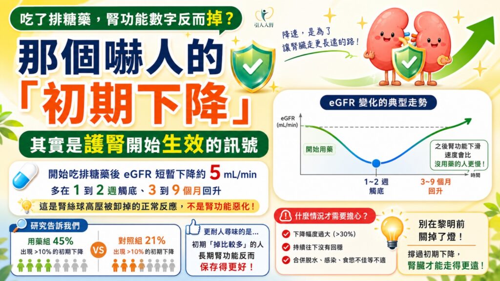 吃了排糖藥,腎功能數字反而掉? 懶人包