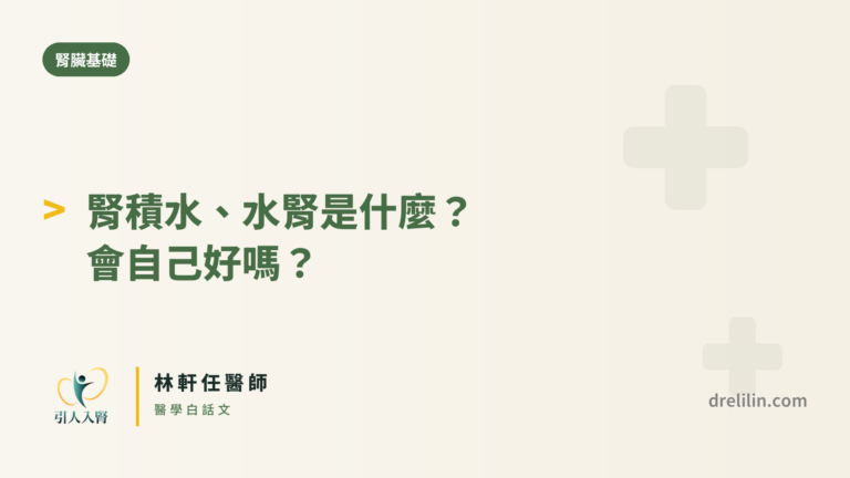 腎積水(水腎)封面圖,引人入腎林軒任醫師