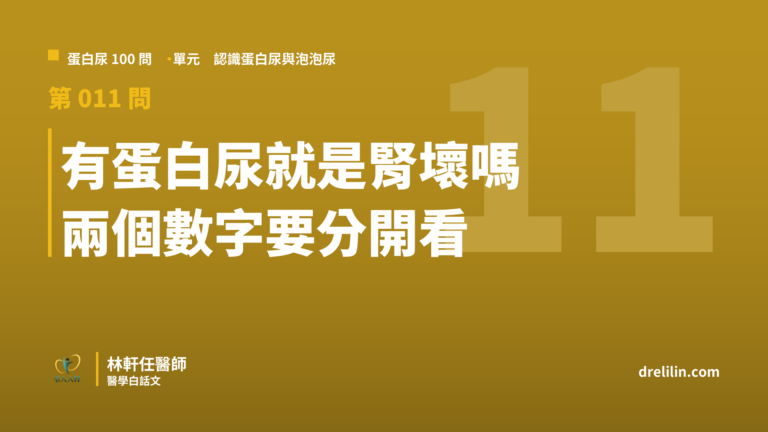 有蛋白尿就是腎臟壞掉嗎?腎功能和蛋白尿要分開看|蛋白尿100問 第011問|林軒任醫師