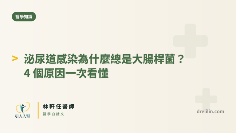 泌尿道感染為什麼總是大腸桿菌 封面圖,引人入腎林軒任醫師